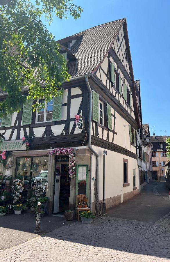La Maison Du Batelier - Quartier Historique Petite Venise Colmar Ngoại thất bức ảnh